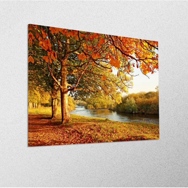 Canvas print Beautiful autumn