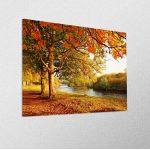 Canvas print Beautiful autumn