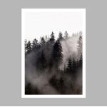 Forest in the fog II, poster
