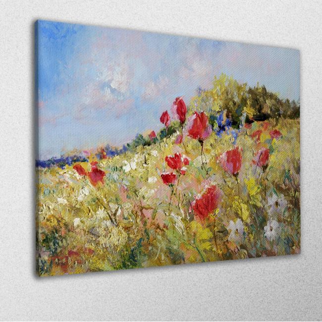 Πίνακας σε καμβά Παπαρούνες, Poppies in summer meadow