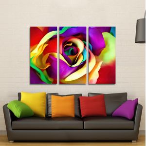 Πίνακας σε καμβά Τριαντάφυλλο, Multicolor rose, τρίπτυχος