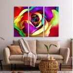 Πίνακας σε καμβά Τριαντάφυλλο, Multicolor rose, τρίπτυχος
