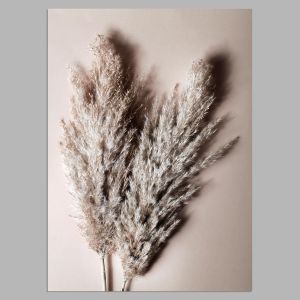 Reeds, poster 2