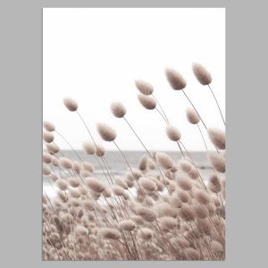 Reeds XIV, poster 2
