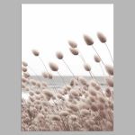Reeds XIV, αφίσα, κάδρο