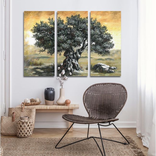 Canvas print Olive tree,3 panels