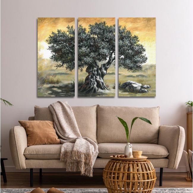 Canvas print Olive tree,3 panels