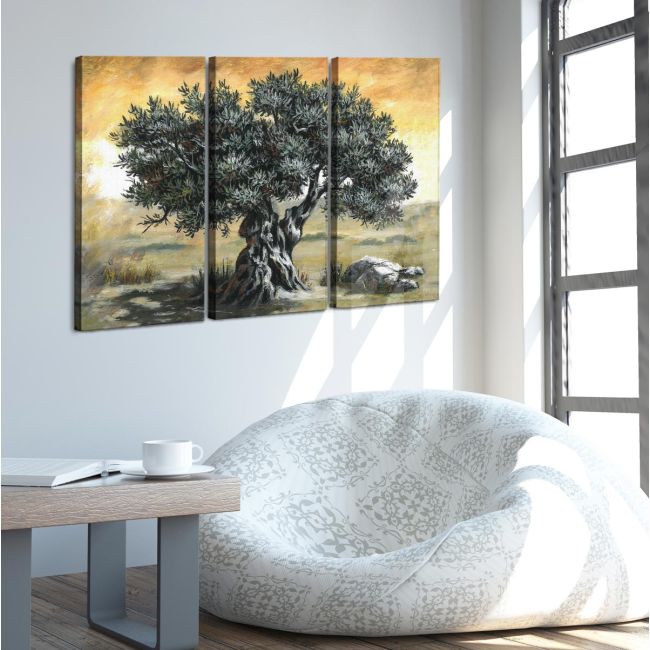 Canvas print Olive tree,3 panels