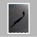 The wanderer, αφίσα, κάδρο
