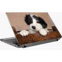 Laptop skin Cute dog