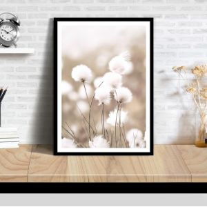 Cotton grass, αφίσα, κάδρο