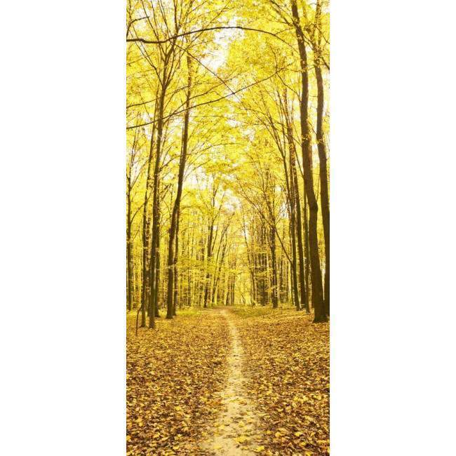 Door sticker Leaves on the path