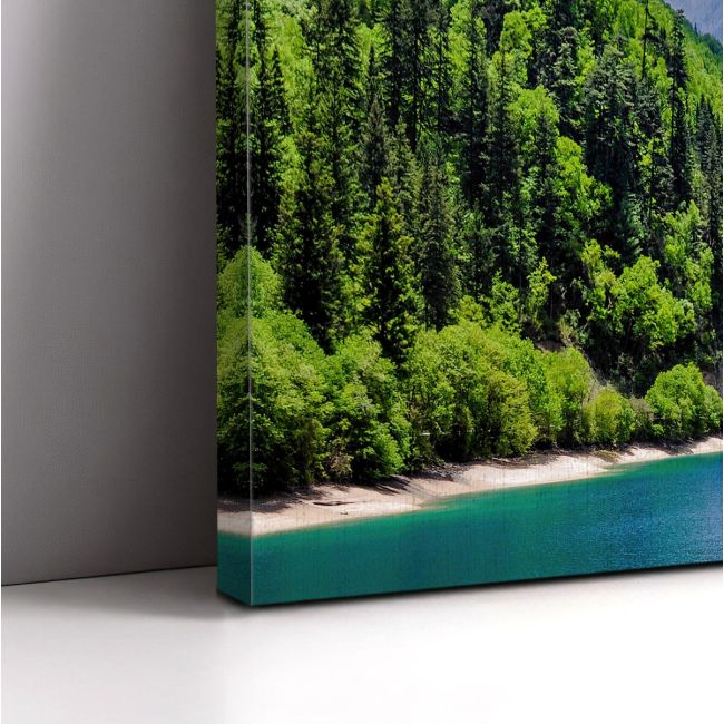 Canvas print Panda lake
