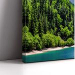 Canvas print Panda lake