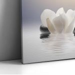 Canvas print, Calm