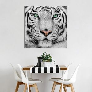 Canvas print White tiger