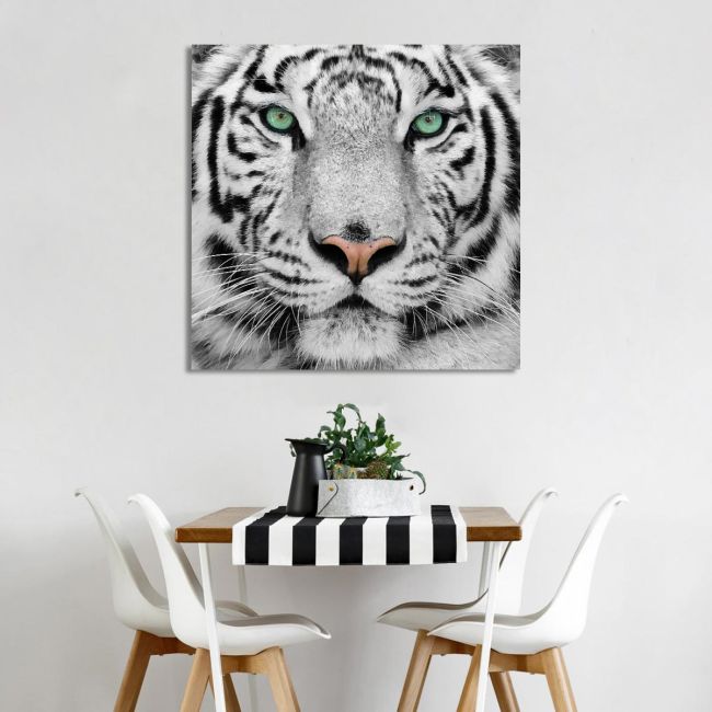 Canvas print White tiger