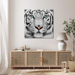Πίνακας σε καμβά White tiger 2