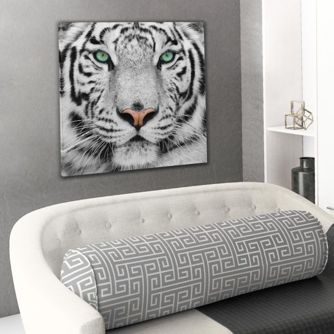 Πίνακας σε καμβά White tiger