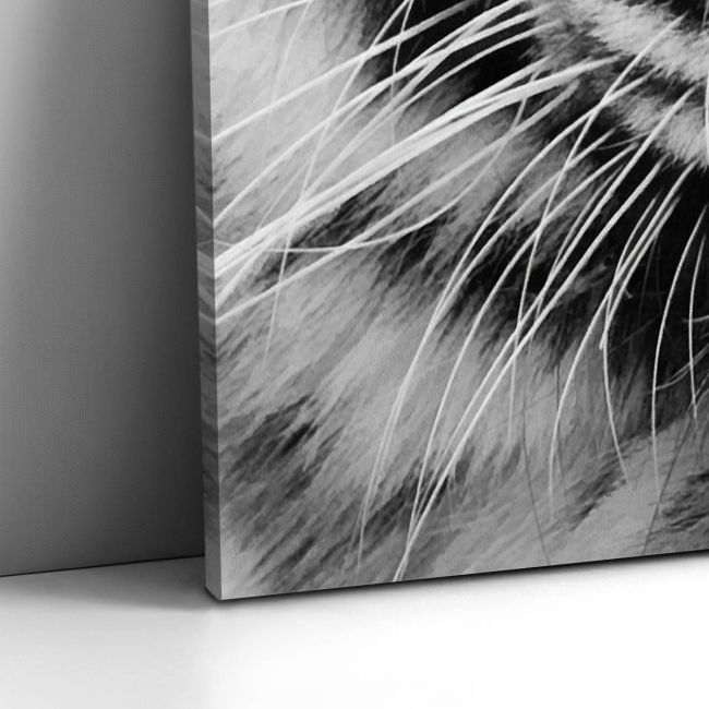 Πίνακας σε καμβά White tiger