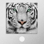 Πίνακας σε καμβά White tiger