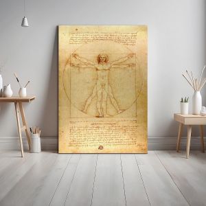 Canvas print The vitruvian man, Leonardo da Vinci
