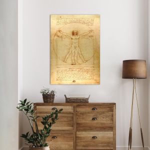 Πίνακας ζωγραφικής The vitruvian man, Leonardo da Vinci 2