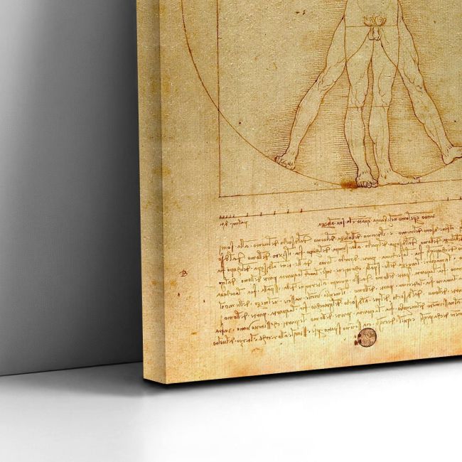 Canvas print The vitruvian man, Leonardo da Vinci