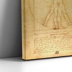 Canvas print The vitruvian man, Leonardo da Vinci