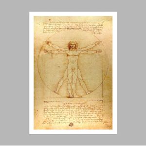 The vitruvian man, Da Vinci, Poster 2