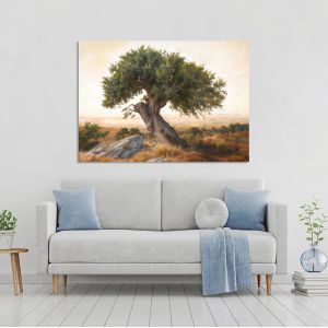 Canvas print Olive tree in the plain 2