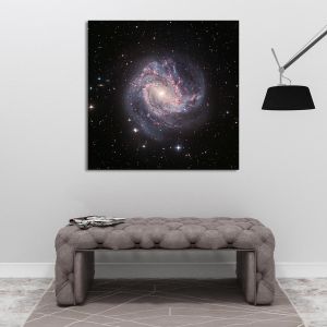 Πίνακας σε καμβά M83 galaxy