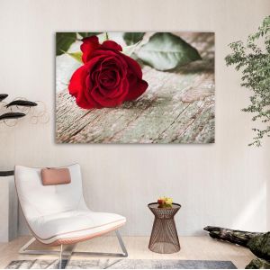 Canvas print Rose on wood