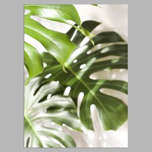 More palm leaves, αφίσα, κάδρο 2