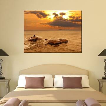 Canvas print Dolphins at sunset