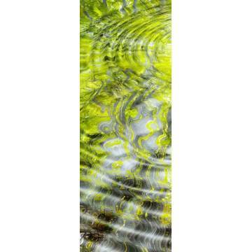 Door sticker Green water reflections 2