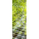 Green water reflections, αυτοκόλλητο πόρτας