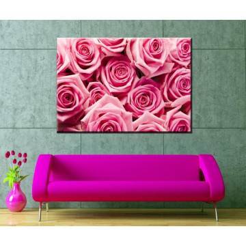 Πίνακας σε καμβά Τριαντάφυλλα, Pink roses