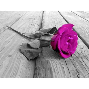 Ταπετσαρία τοίχου Purple rose 2