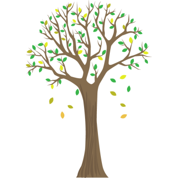 Wall stickers Lime tree 2 2