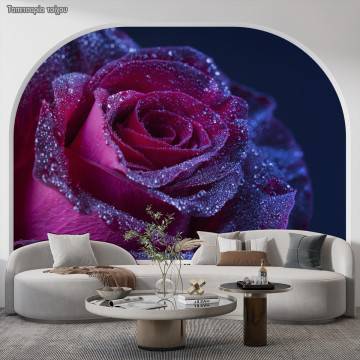 Wallpaper Purple rose drops