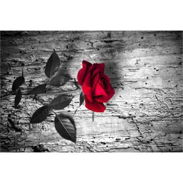 Wallpaper Red passion 2