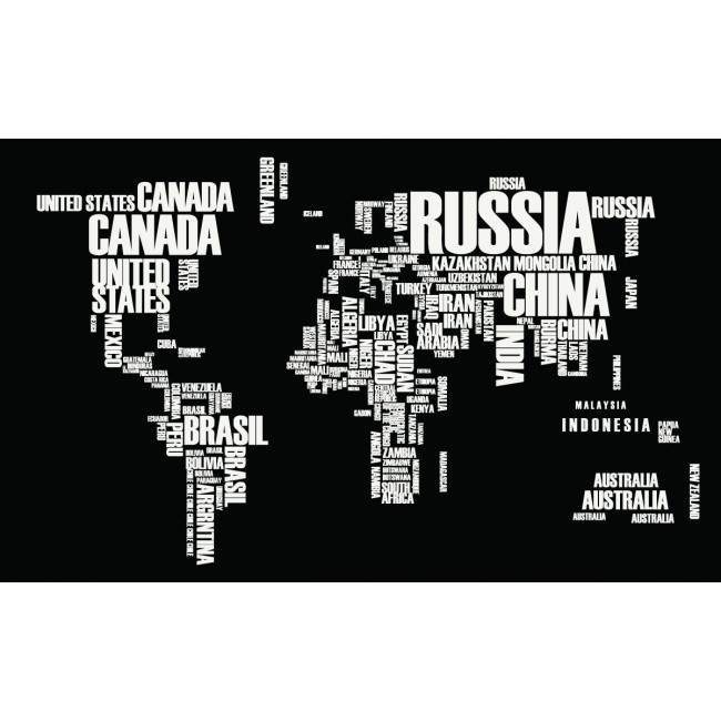Laptop skin World map white & black