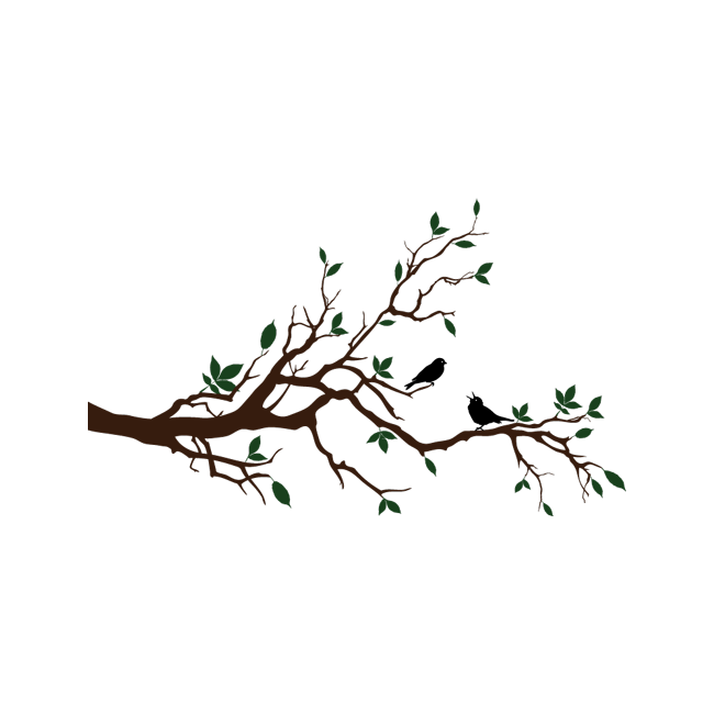 Πουλάκια που κελαηδούν, κοντινό