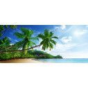 Wallpaper Idyllic beach with palm trees