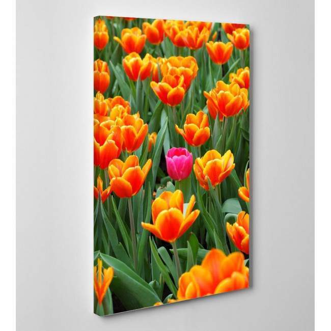 Canvas print Pink tulip between orange, side