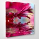Canvas print Flower reflections (red), side