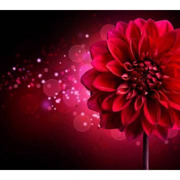 Αυτοκόλλητο πόρτας Dahlia 2