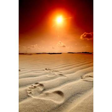 Αυτοκόλλητο πόρτας Foot prints 2