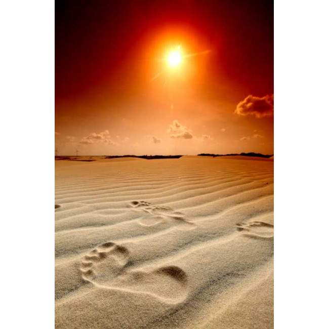 Door sticker Foot prints